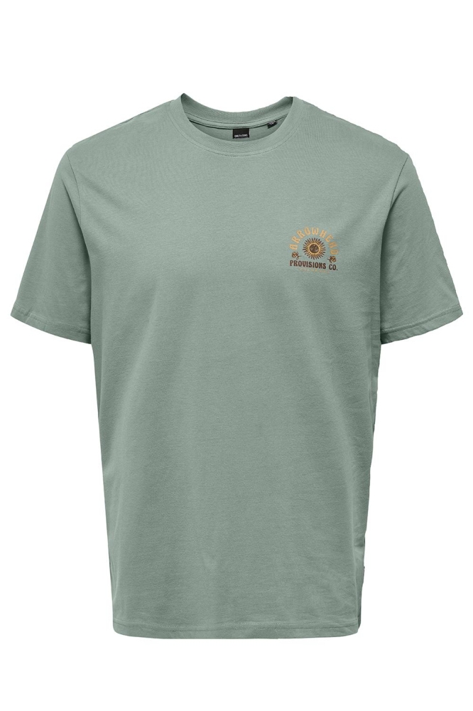 ONSMANUEL LIFE REG SS DESERT TEE CS 22035647 Iceberg Green/ARROWHEAD